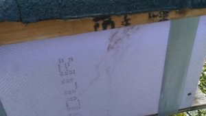 Зимовка пчел в Германии