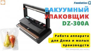 Вакуумный упаковщик для Дома DZ 300B Foodatlas Pro