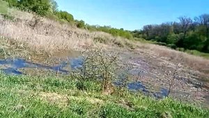 ВСЕМ ПРИВЕТ НОВОЕ ВИДЕО ДЕРЕВНЯ ЧЕРНАВКА КЛЮЧ РОДНИК СЕМЬ КОЛОДЦЕВ СВЯТОЙ ИСТОЧНИК 2023 ГОД
