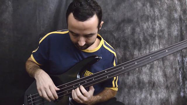 Bass Loop Improvisation #6 - Fretless - Ibanez SR 400 смотреть онлайн