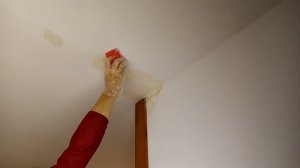 Удалить пятна с потолка просто. Без перекраски всего потолка. Быстро и надёжно.