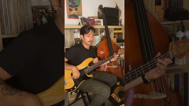 FENDER PRECISION 78 GROOVE! смотреть онлайн