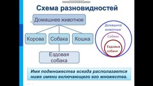 Урок 6 класс Разновидности объектов и их классификации