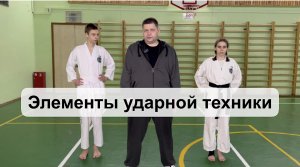 Элементы ударной техники/удар ногой