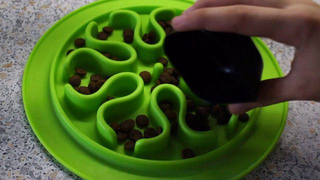 МОЁ (СКУЧНОЕ) УТРО С СОБАКОЙ смотреть онлайн