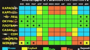 Почему не стоит верить прогнозу клёва рыбы?