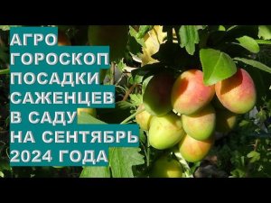 Агрогороскоп посадки саженцев в саду в сентябре 2024Agrohoroscope for planting seedlings in the gard