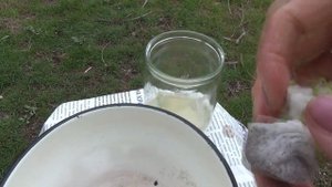 Как ускорить прорастание семян моркови