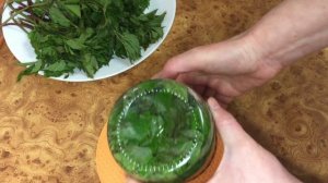 СНЫТЬ квашеная и маринованная: 4 рецепта