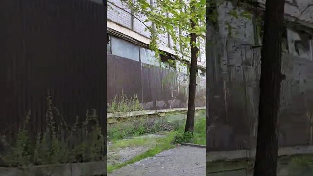 🇺🇦 Запорожье. Прогулка по просп. Маяковского от просп. Соборного (Ленина) до улицы Победы. 07.05.23