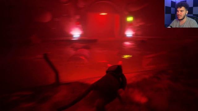 ЗУРКИЕ ГЛАЗИЩА ● Stray #6 смотреть онлайн