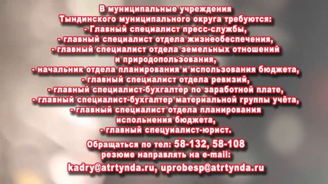 ТРЕБУЮТСЯ НА РАБОТУ В МУНИЦИПАЛЬНЫЕ УЧРЕЖДЕНИЯ ТЫНДИНСКОГО ОКРУГА