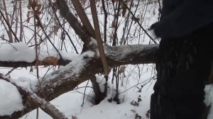 Карманная цепная пила.(барнаульская пила для выживания).