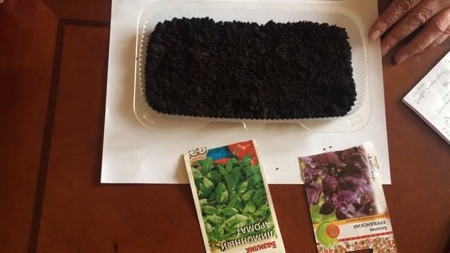 БАЗИЛИК. СВОЙСТВА И СПОСОБ ПОСЕВА СЕМЯН (ДВА ВИДА) ||#базилик || #бабалюда || #огород смотреть онлайн