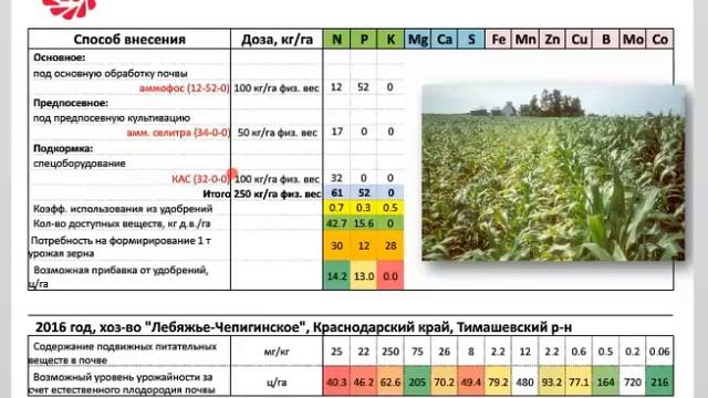 Вебинар по технологии возделывания кукурузы / Практический опыт Лимагрен