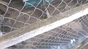 Почему рвало цеп привода фрезы