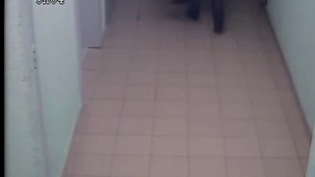 Скрытая камера в подъезде  вот так Спалились