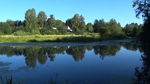 Красивая Рыбалка на Поплавок в Болоте! Ловля на Матчевую и Поплавочную удочку