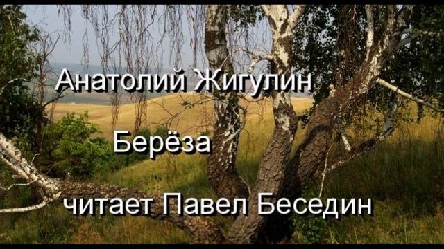 Берёза , Анатолий Жигулин , Советская Поэзия ,  читает Павел Беседин