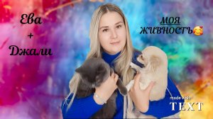 Мои домашние питомцы