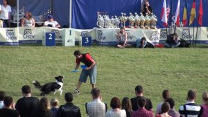 Дог-фризби чемпионат Европы 2012 в Польше.
