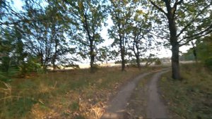 Повёз сестру на МЕСТНОЕ МОРЕ! Большой ставок в селе Чумаки, Днепропетровская область.