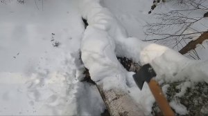 24 ЧАСА В ЛЕСУ В - 37! ДОМ НА ДЕРЕВЕ или ИЗБА НА ЛЫЖАХ ? Что ТЕПЛЕЕ и ЛУЧШЕ в МОРОЗ? ЖИЗНЬ в ЛЕСУ
