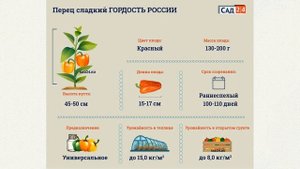 Болгарский Перец. Пять Самых Урожайных Перцев Для Фарширования. 186