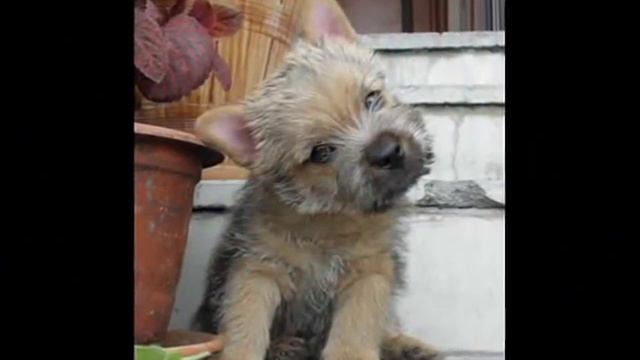 Жизнь прекрасна! смотреть онлайн