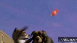 Over the hedge scenes in hindi