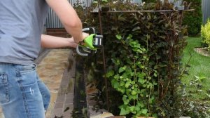 Аккумуляторный кусторез Greenworks G24HT54