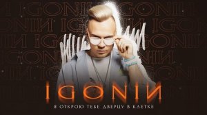 IGONIN - Полчаса (Lyric video)