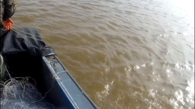 ПРОМЫСЛОВАЯ РЫБАЛКА СЕТЯМИ. Рыбалка на Амуре. Лов лосося кеты. смотреть онлайн