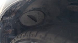 Меган 2: История левого подкрылка - финал