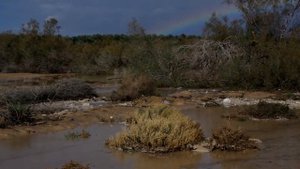 Мертвое море