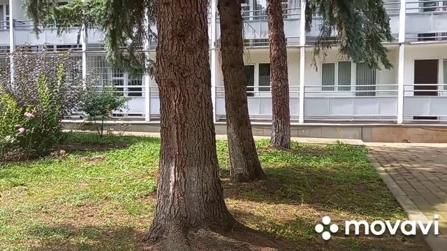 ❗САНАТОРИЙ _ГРУШЕВАЯ РОЩА_❗ ЭКСКУРСИЯ ?