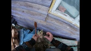 Конопатка мхом сруба.Работа в саду.