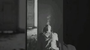 ну как ты там моя мадам