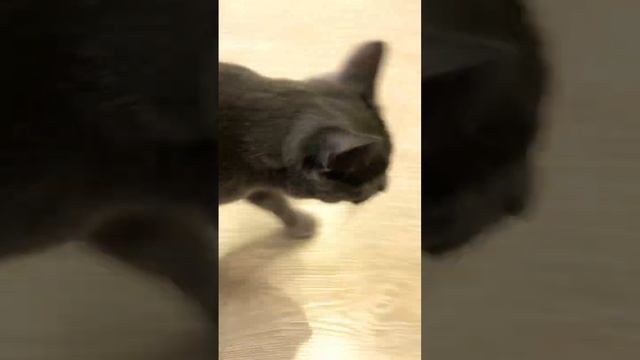 Я старалась!можно 2 тыс.лайков?ну а в конце я к бабушке пошла где Сема самый последний