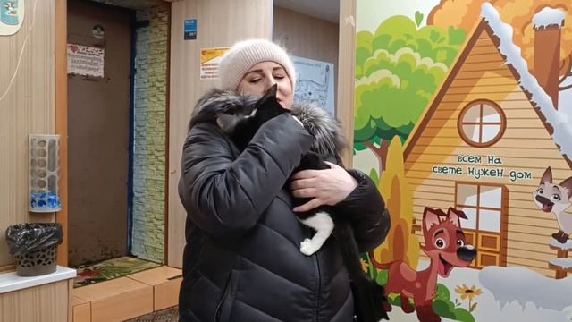 Навстречу домашним приключениям | Малфой