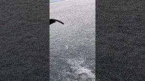 Клёвая рыбалка ? на Байкале. 1.05.2023.