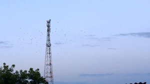 Serditov Days: Новоключи 2016 (озеро Горькое)