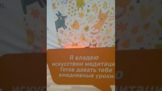 Котэ в отделе "Ле, Мурр" Торгово-развлекательного центра "Лотос Плаза" Петрозаводск смотреть онлайн
