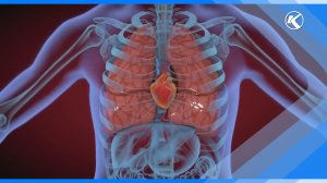 30.05.2024 Медики рассказали о вреде вейпов, кальянов и сигарет