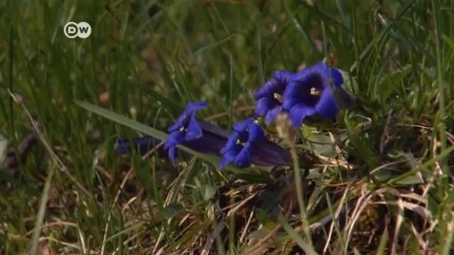 Berchtesgaden Nationalpark – Welcome to the German Alps! смотреть онлайн