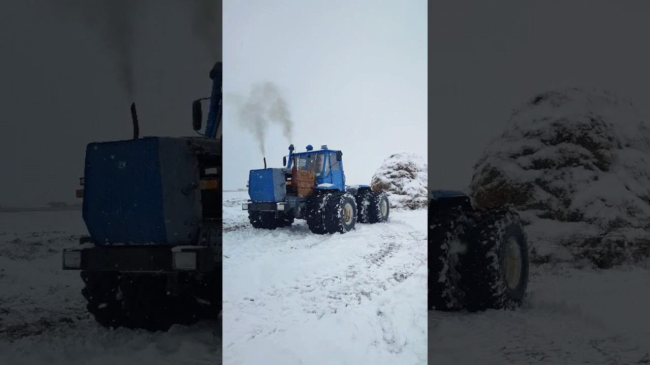 по первому снежку смотреть онлайн