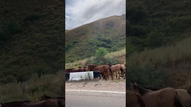 Kazakistan dağları. Алматинские горы. Каскеленское ущелье. Природа Казахстана. Хан Тенгри. Горы