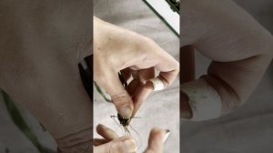 Сезонный мк #Кругитишины