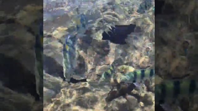 Красное море,Эйлат