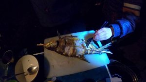 Сплав по реке Жиздра май 2022